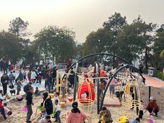 -铁山坪森林公园