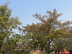 -映月湖公园