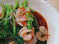 油淋虾仁菜心-郑庄脂渣海鲜楼(九水路店)