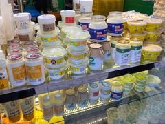 -德禄酸奶(莫家街店)