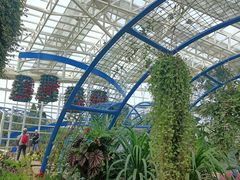 -石家庄市植物园