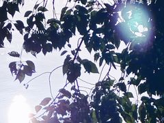 -宝岛公园