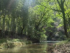-楠溪江石桅岩