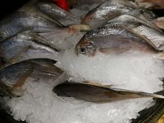 -九鼎轩火锅大排挡