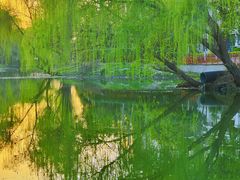 -白塘生态植物园