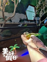 -未来动物城动物主题公园(大悦城店)