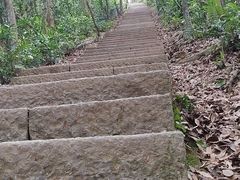 -梧桐山风景名胜区