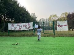 -1982农场