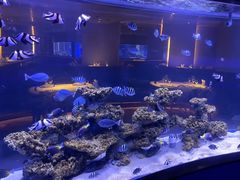 -上和臻品中国菜(花园街店)