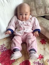 -上海小小宝婴儿理胎发胎毛笔