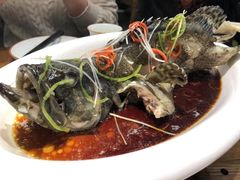 -必点海鲜·鲅鱼水饺(鞍山西道店)