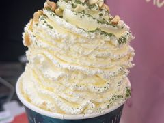 -雾与山茶(大禹城店)