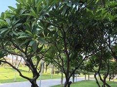 -平安（深圳）金融教育培训中心