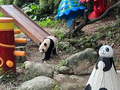 -广州长隆野生动物世界