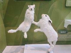 -国家自然博物馆