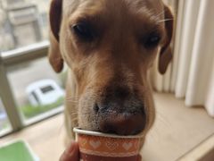 -DQ·蛋糕·冰淇淋(龙茗店)