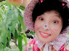 -樂桃源奉贤黄桃种植采摘基地
