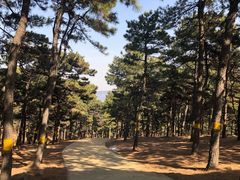 -北京达世行世纪汽车销售有限公司