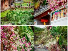 -深圳国际园林花卉博览园