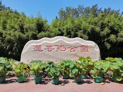 -莲花池公园