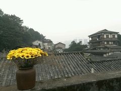 -大王油茶(磁器口店)