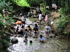 -田心森林公园