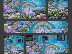 -上海滨江森林公园