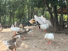 -西安秦岭野生动物园