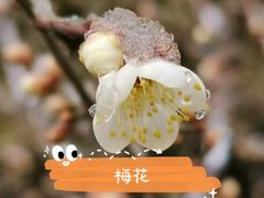 -颐和园