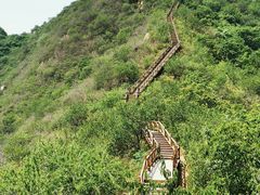 -大岭沟猕猴桃谷风景区
