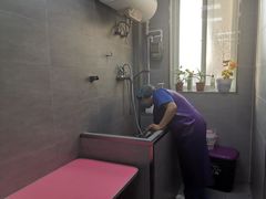 -宠福鑫康馨动物医院·骨科·眼科