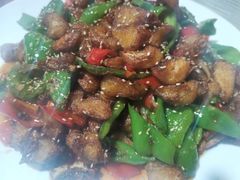 -煲来饱去冷水鱼