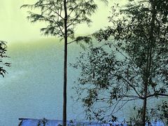 -广州白江湖森林公园