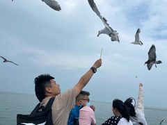 -海驴岛(荣成市)