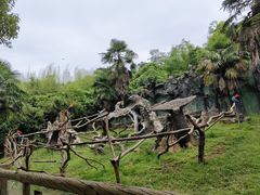 -杭州野生动物世界