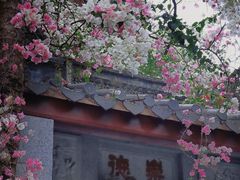 -深圳国际园林花卉博览园