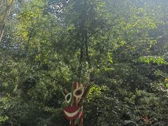 -西双版纳原始森林公园