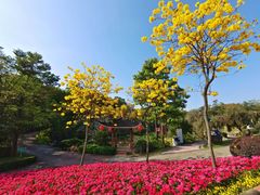 -广州莲花山旅游区