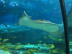 -福州罗源湾海洋世界旅游区