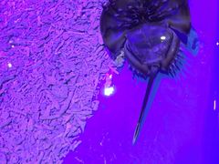 -华夏文旅西安度假区