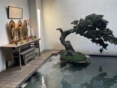 -觀芷隐轩