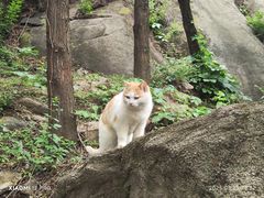 -北京凤凰岭