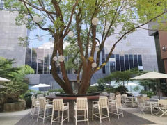 -上海虹桥祥源希尔顿酒店