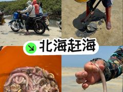 -北海金海湾红树林生态旅游区