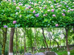 -古隆中景区