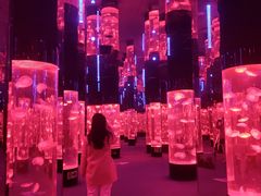 -成都浩海立方海洋公园