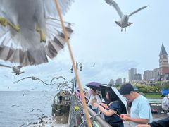 -东港音乐喷泉广场