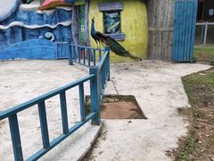 -南湾湖