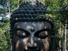 -杭州植物园