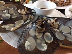 -长岛渔家乐仙居阁